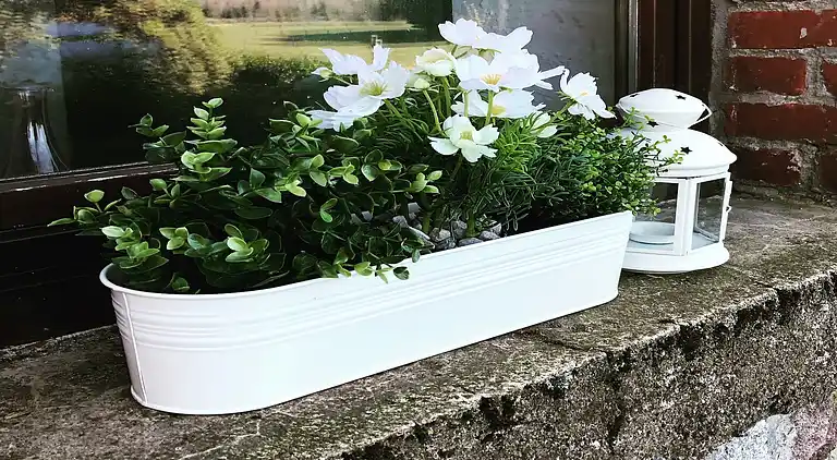 Holiday home in Petit-Thier