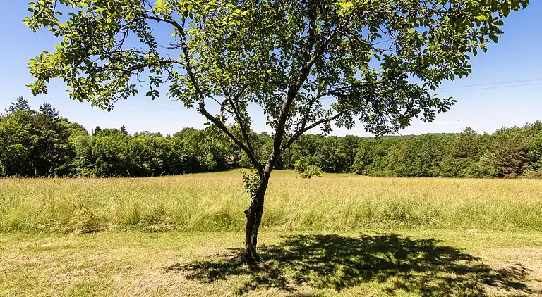Farmhaus in Val de Louyre et Caudeau