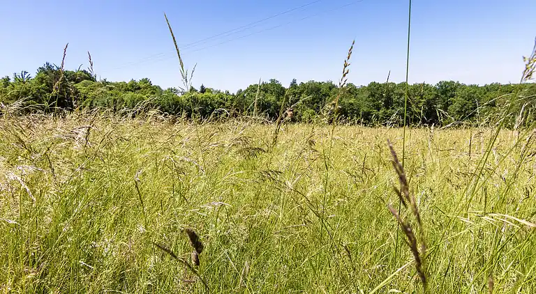 Farmhaus in Val de Louyre et Caudeau