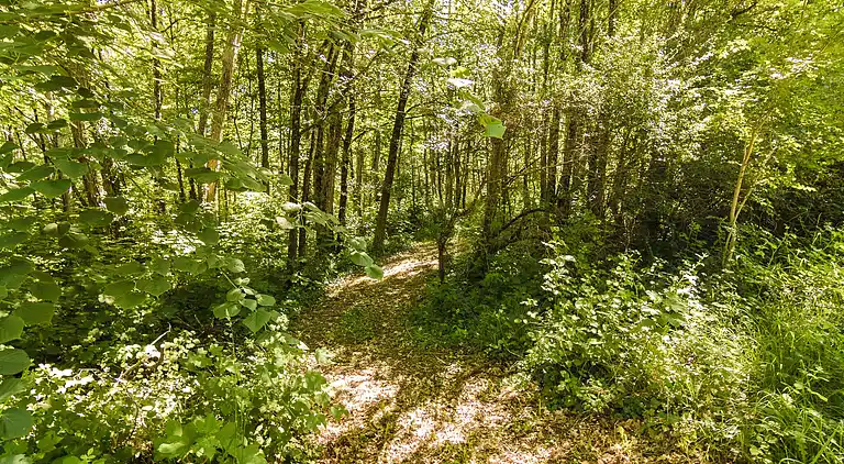 Farmhaus in Val de Louyre et Caudeau