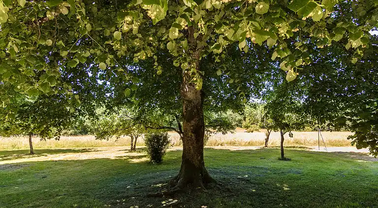 Farmhaus in Val de Louyre et Caudeau