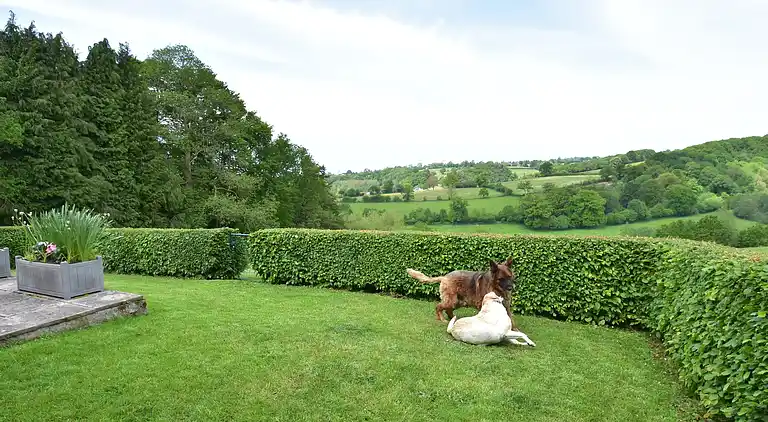 Holiday home in Sourdeval-les-Bois