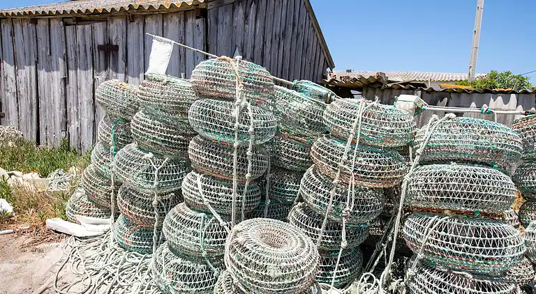 Ferielejlighed i Apúlia