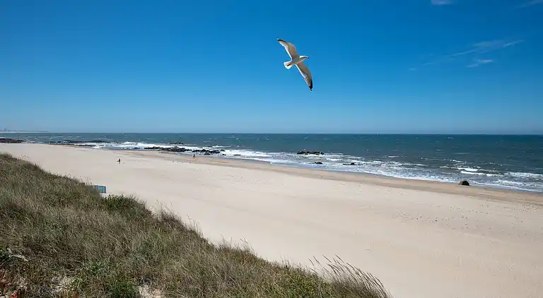 Ferielejlighed i Apúlia