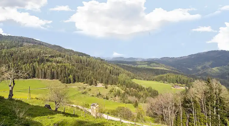 Holiday home in Reichenfels