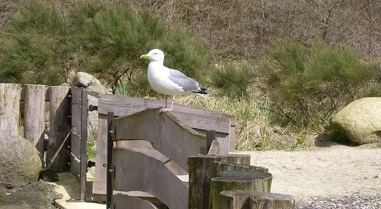 Ferielejlighed i Kühlungsborn
