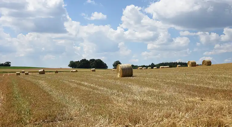 Ferielejlighed i Obernburg