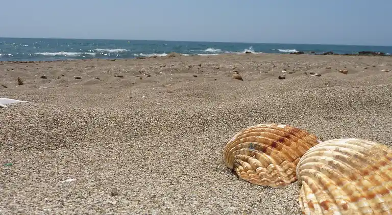 Ferielejlighed i Alcorrín