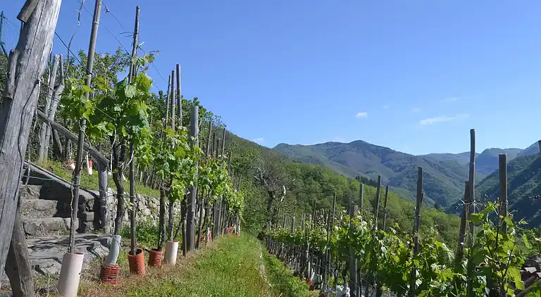 Farm house in Castiglione di Garfagnana