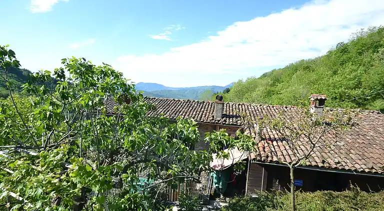 Farm house in Castiglione di Garfagnana