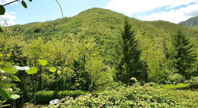 Holiday home in San Marcello Piteglio