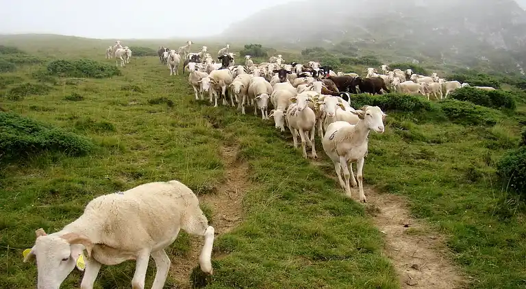 Sommerhus i Houeydets