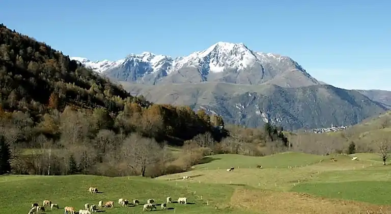 Sommerhus i Houeydets