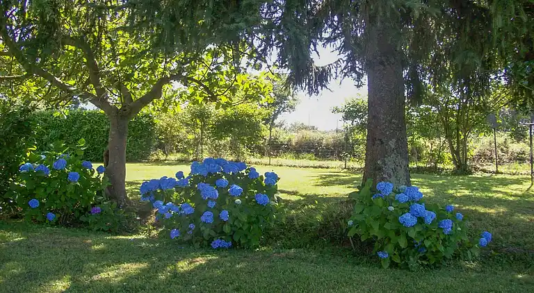 Sommerhus i Houeydets