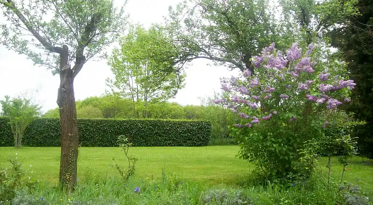 Sommerhus i Houeydets