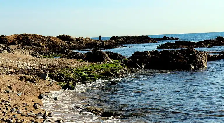 Villa in Roquebrune-sur-Argens