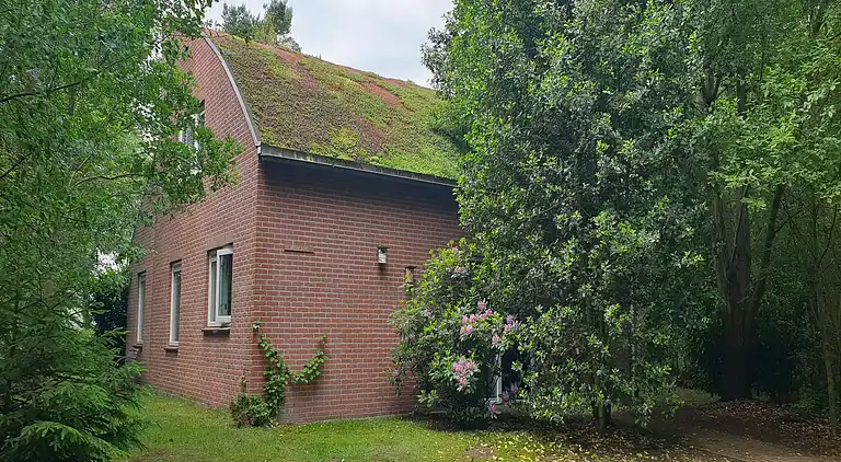 Holiday home in Ruinen