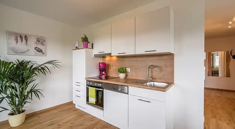 Apartment in Pfarrwerfen