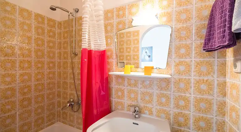 Apartment in Maishofen