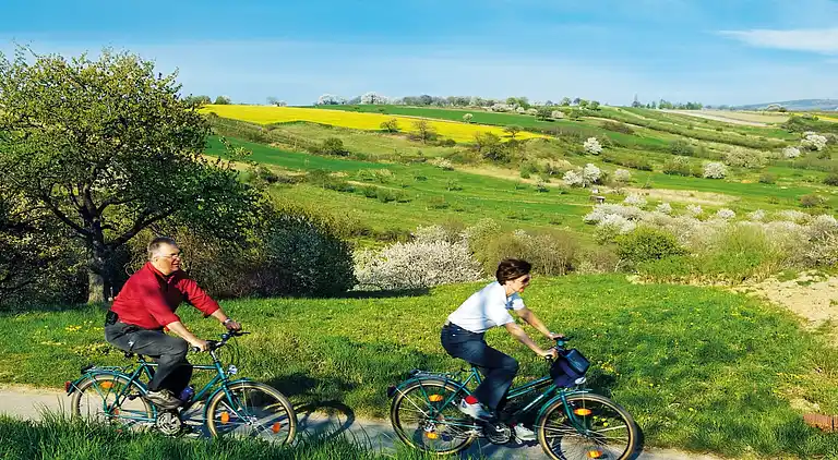 Apartment in Lutzmannsburg