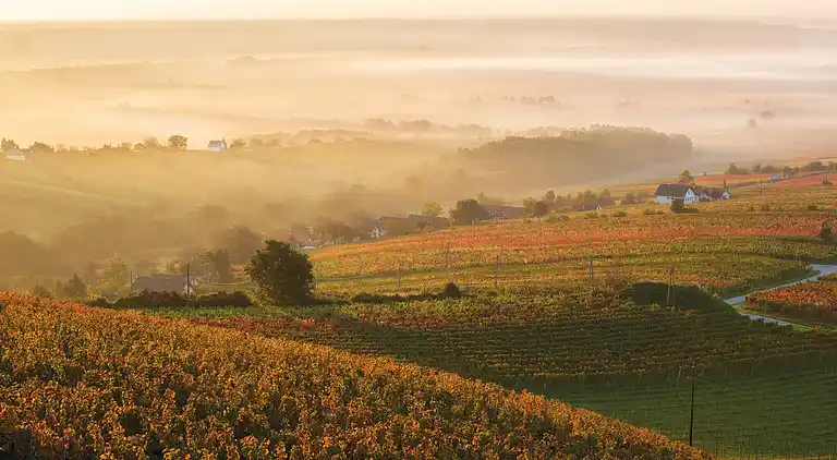 Apartment in Lutzmannsburg