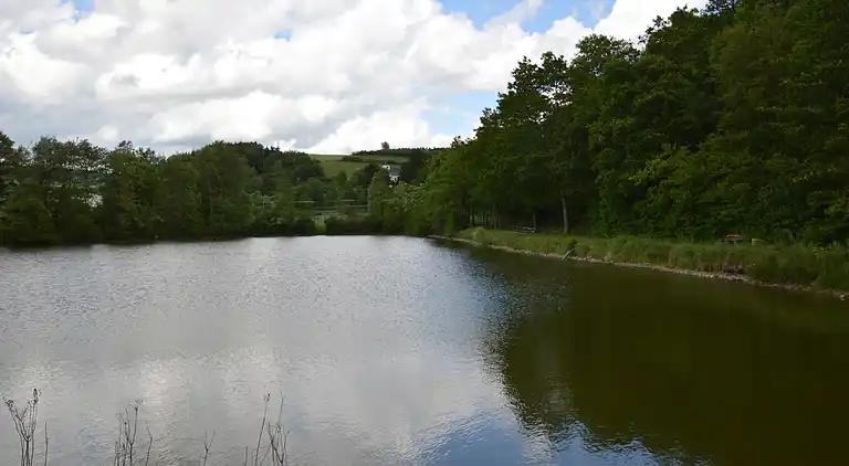 Leilighet i Sellericherhöhe