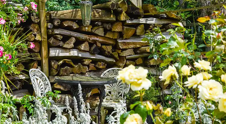 Vakantiehuis in La Forêt-de-Tessé