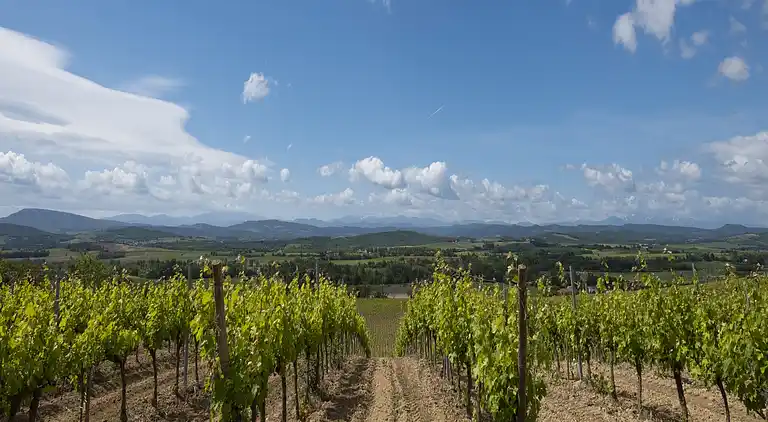 Villa in Languedoc-Roussillon
