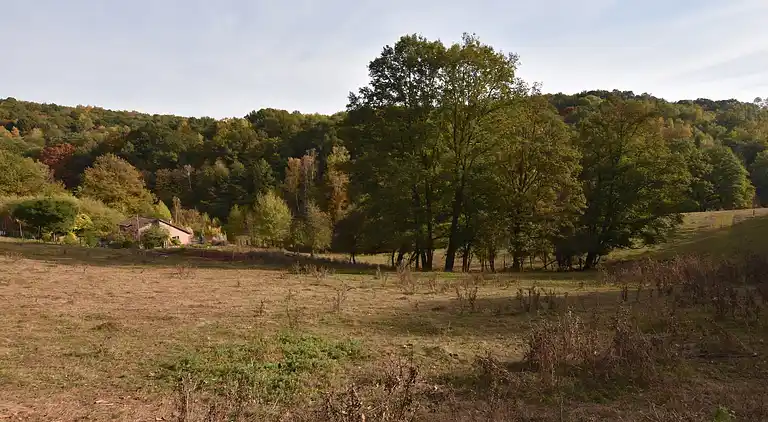 Sommerhus i Reyersviller