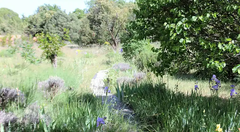 Sommerhus i Artignosc-sur-Verdon