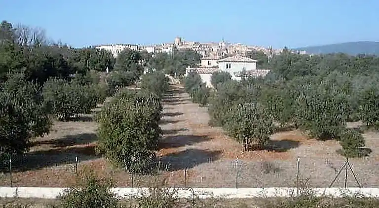 Sommerhus i Artignosc-sur-Verdon