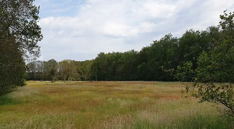 Holiday home in Ruinen