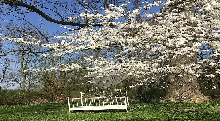 Appartement in Neuburg