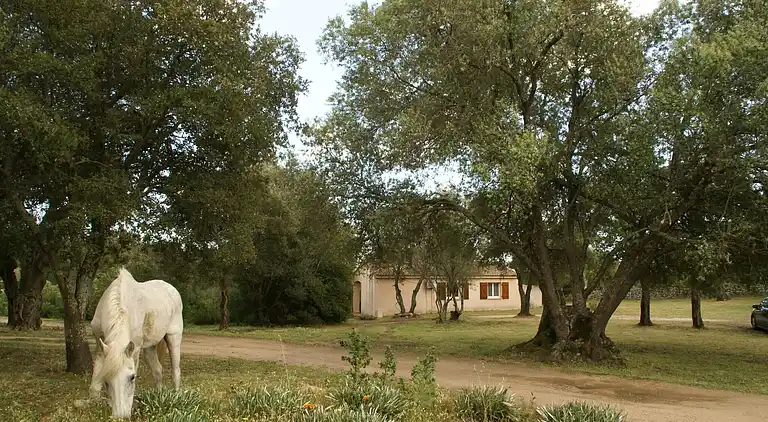 Sommerhus i Porto-Vecchio