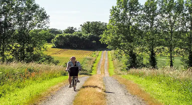 Holiday home in Cezais
