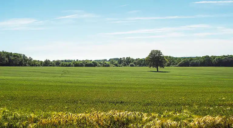 Holiday home in Cezais