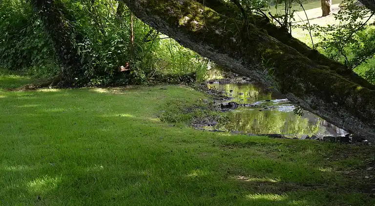 Sommerhus i Nassogne