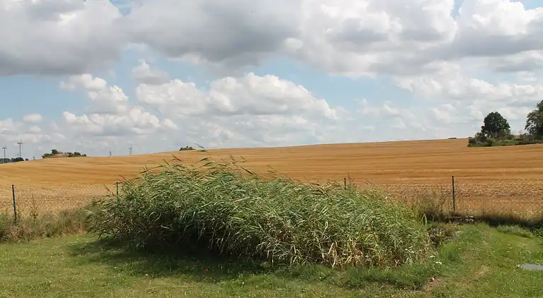 Apartment in Pepelow