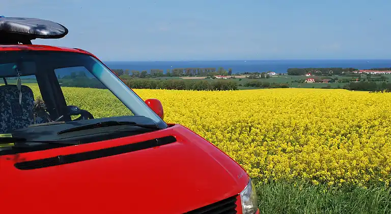 Apartment in Pepelow