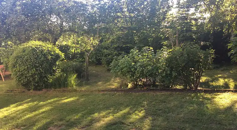 Apartment in Industrie- und Gewerbegebiet Zur Oberen Heide