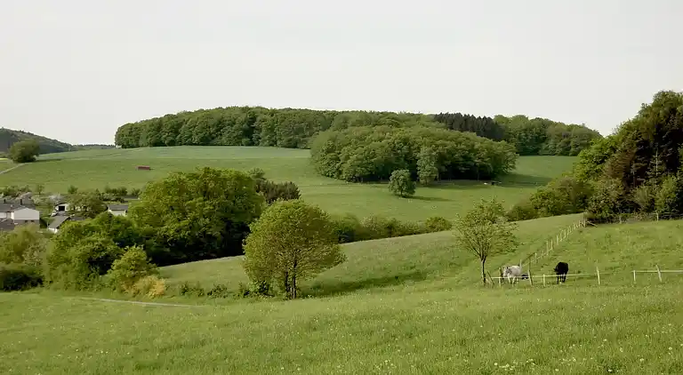 Leilighet i Altenkirchen (Westerwald)