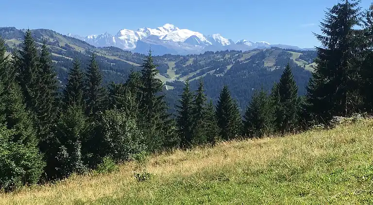 Apartment in Les Gets