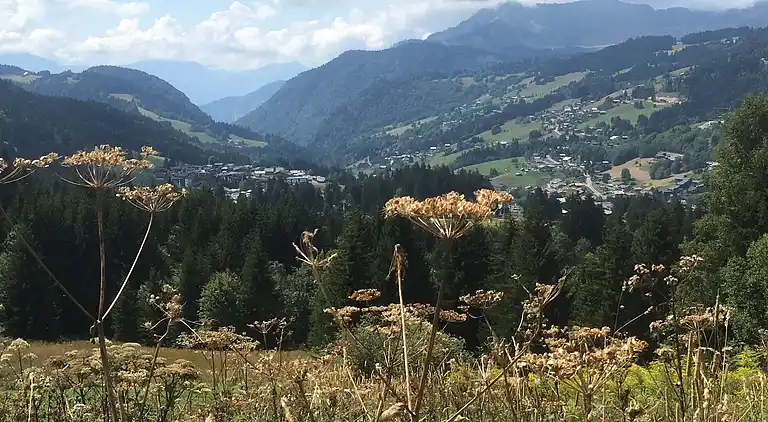 Apartment in Les Gets