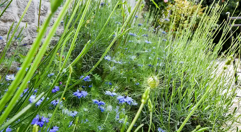 Sommerhus i Souvigné