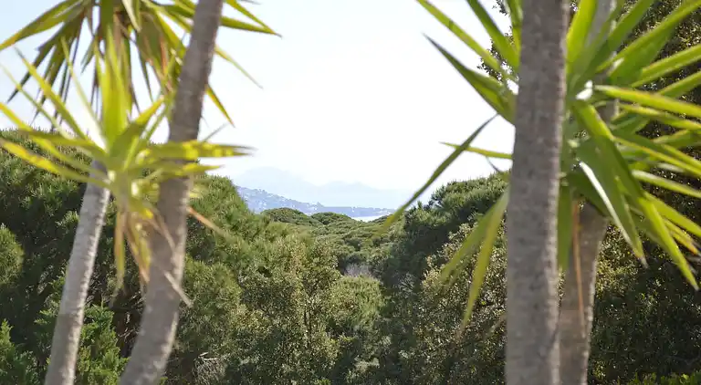 Villa i Le Plan-de-la-Tour