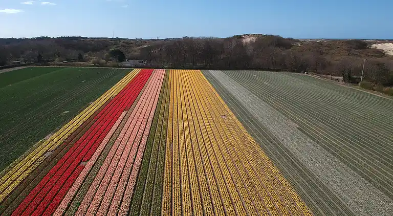 Holiday home in Egmond aan Zee