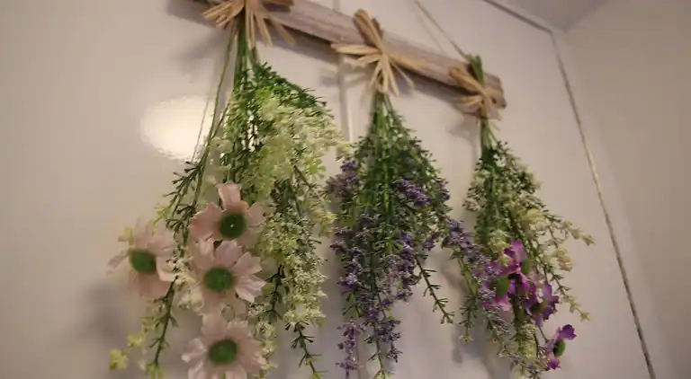 Holiday home in Egmond aan Zee