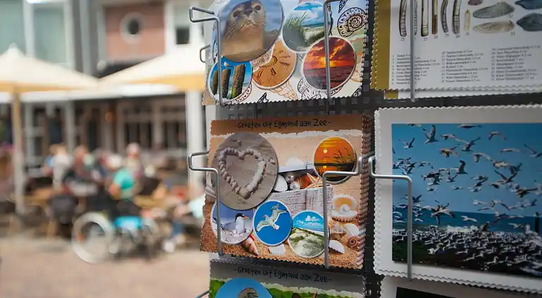 Holiday home in Egmond aan Zee