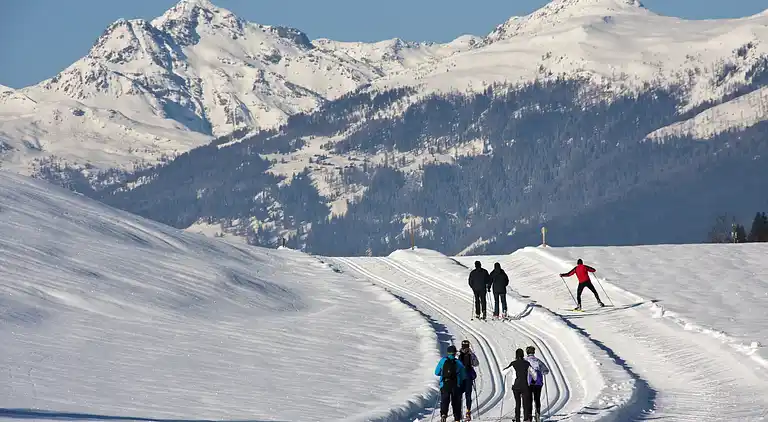 Herregård i Gitschtal