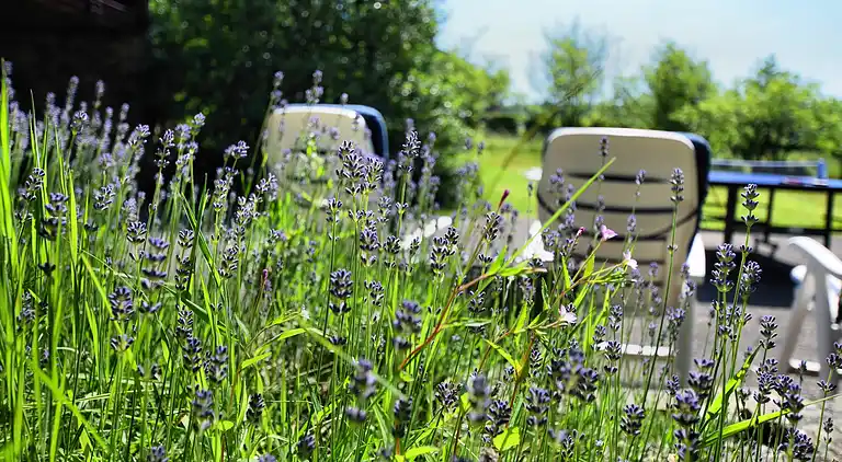 Hytte i Saint-Hubert